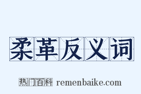 柔革反义词是什么意思的图片